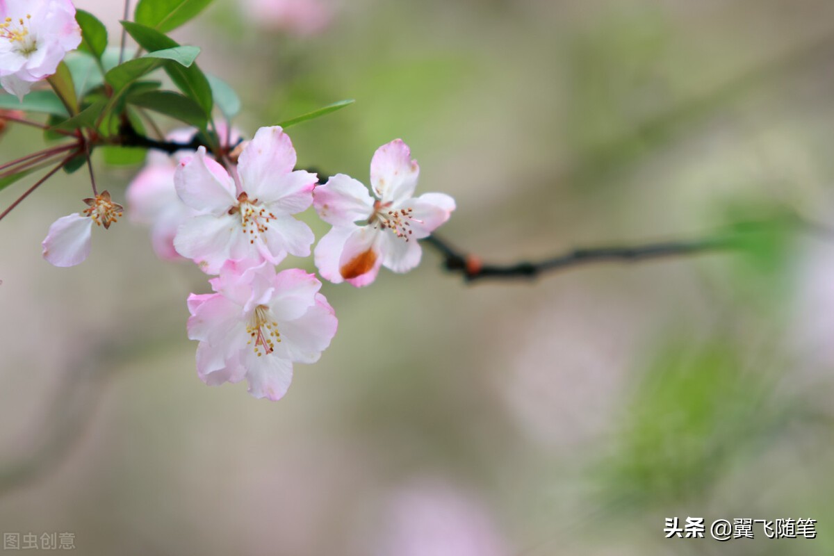 写给女儿十四岁的青春寄语