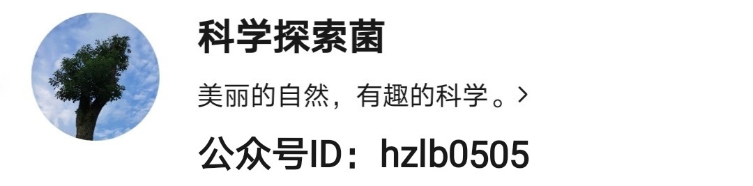 菜花蛇无毒，凭什么被称为百蛇之王？为什么其它毒蛇反而怕它？