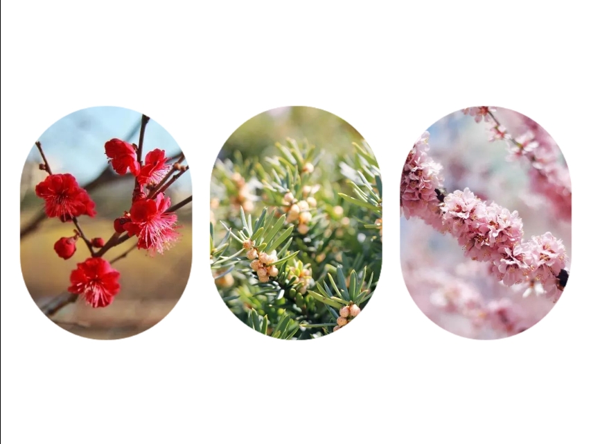 来大外！一起展望前方星辰大海！