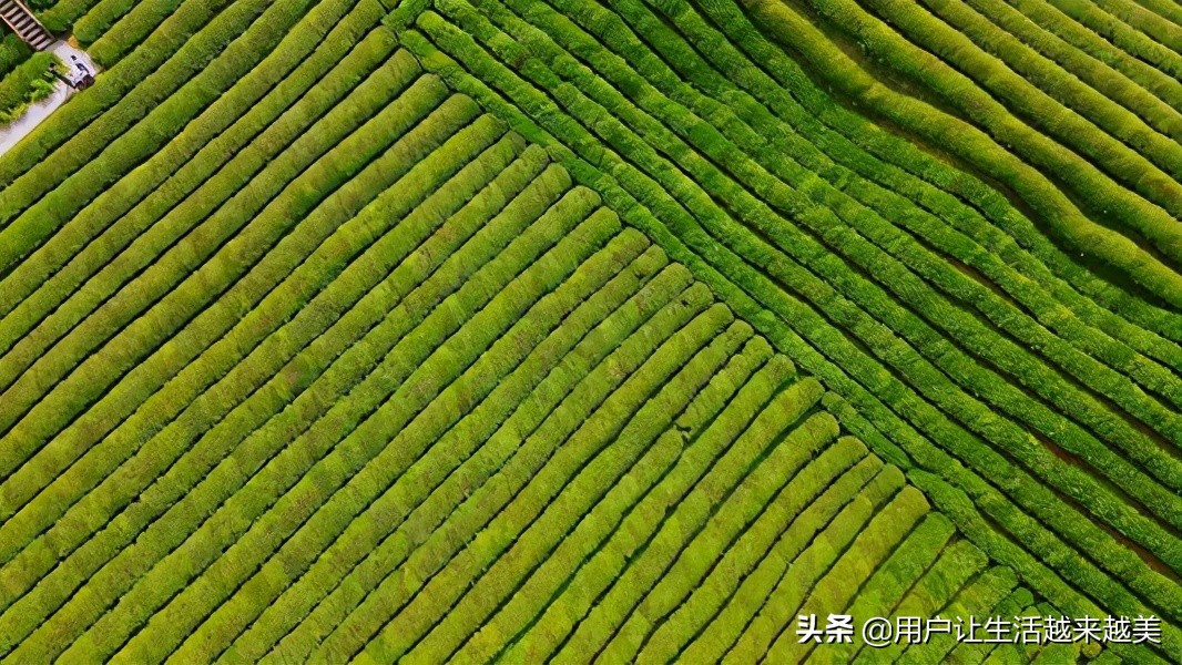 景德镇真是一个美丽的地方