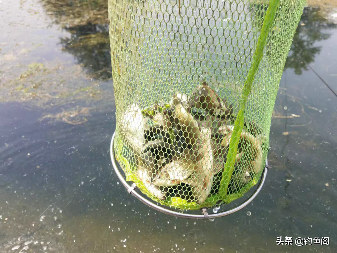 用短竿的才是高手？李大毛、化绍新笑而不语，刘志强退出群聊