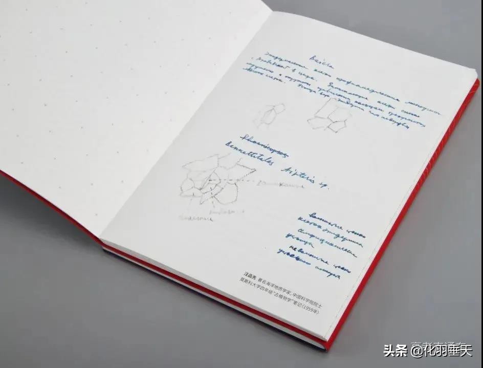 2021“神仙打架”——北大、清华等高校绝美录取通知书欣赏