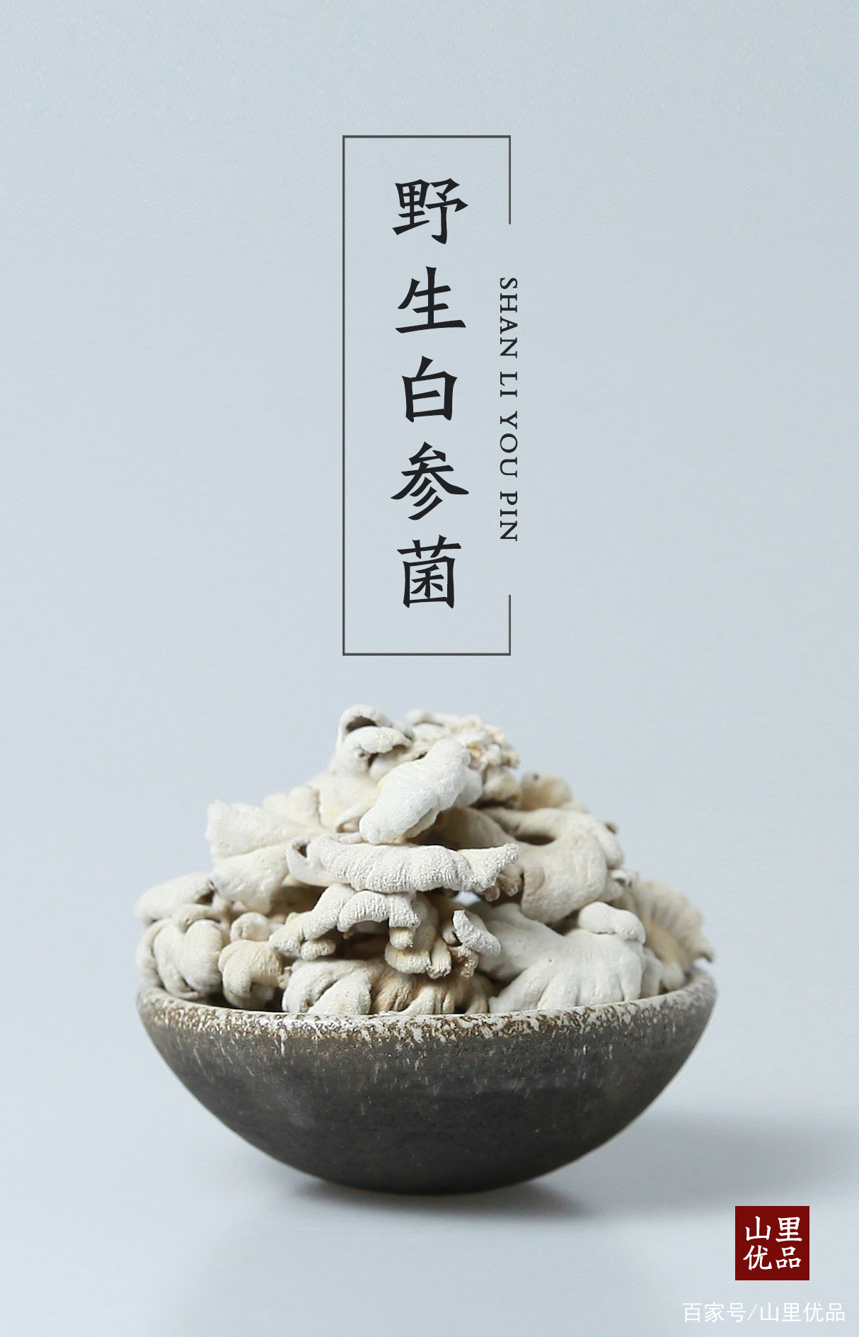 白参菌的功效与作用(白参菌蒸鸡蛋的功效)-我的快乐小窝