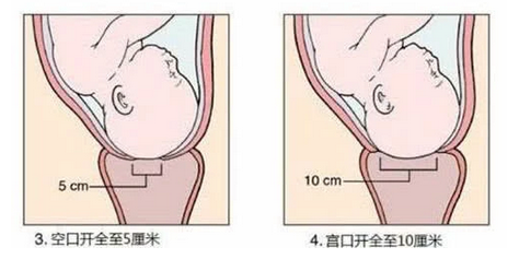 分娩时狭窄的产道如何生娃？这个演示太真实，看完感叹母亲伟大