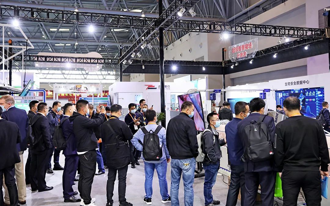 猪价重回7元时代，行业面临四大风险！智慧养猪大势所趋