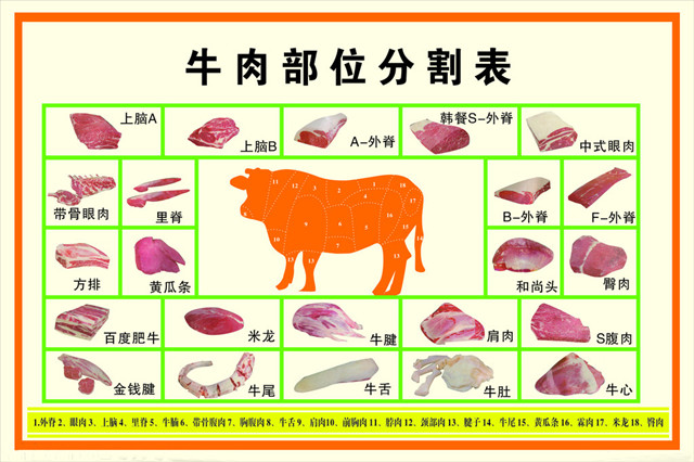 牛腱子是牛的哪个部位（牛肉各部位的特点以及烹饪手法）