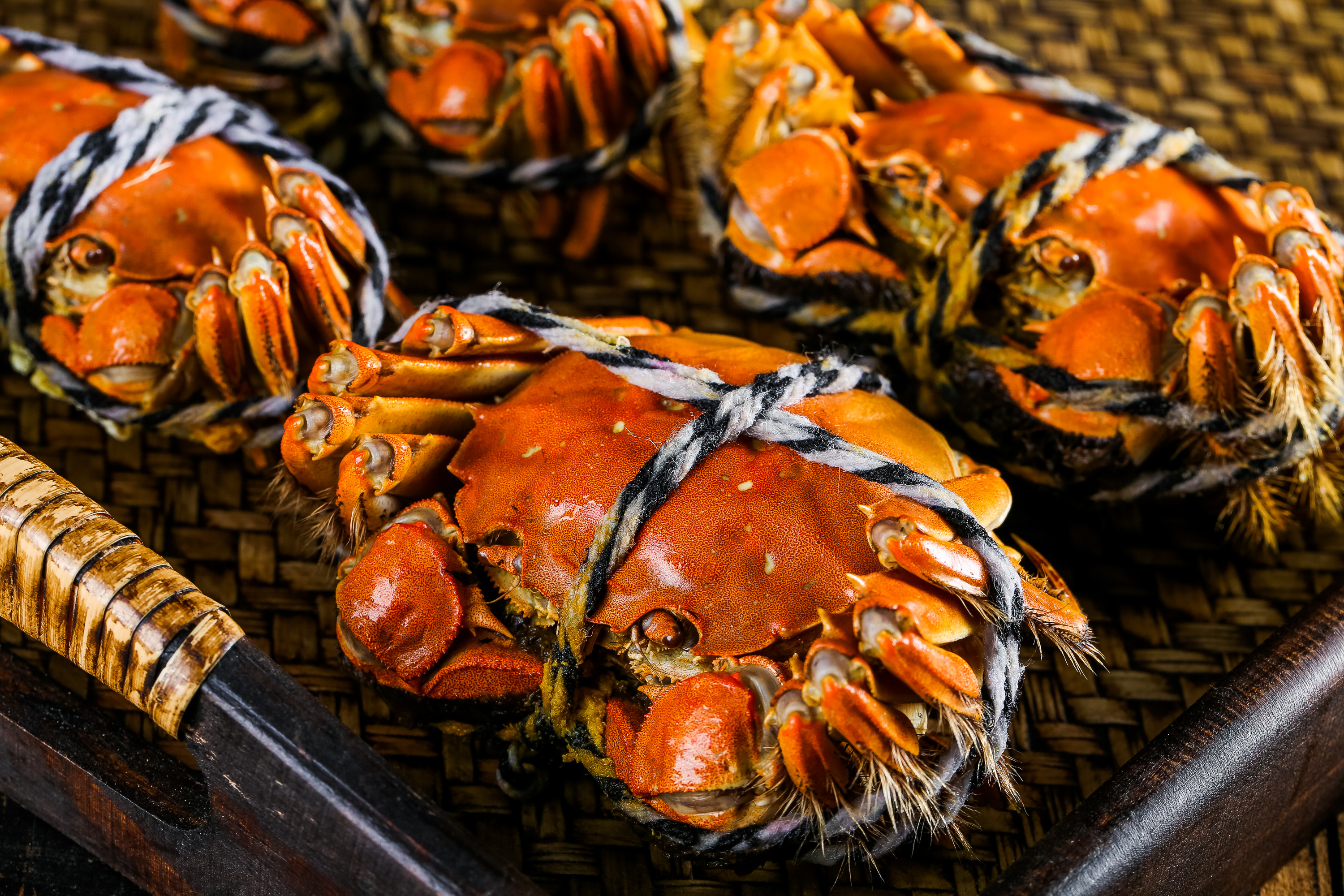 江苏省的第一种名蟹就是人们所熟知的阳澄湖大闸蟹.