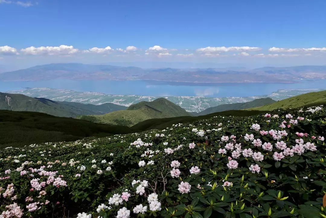 苍山：大理著名的“风花雪月”四景之一，风光秀美，巍峨壮观