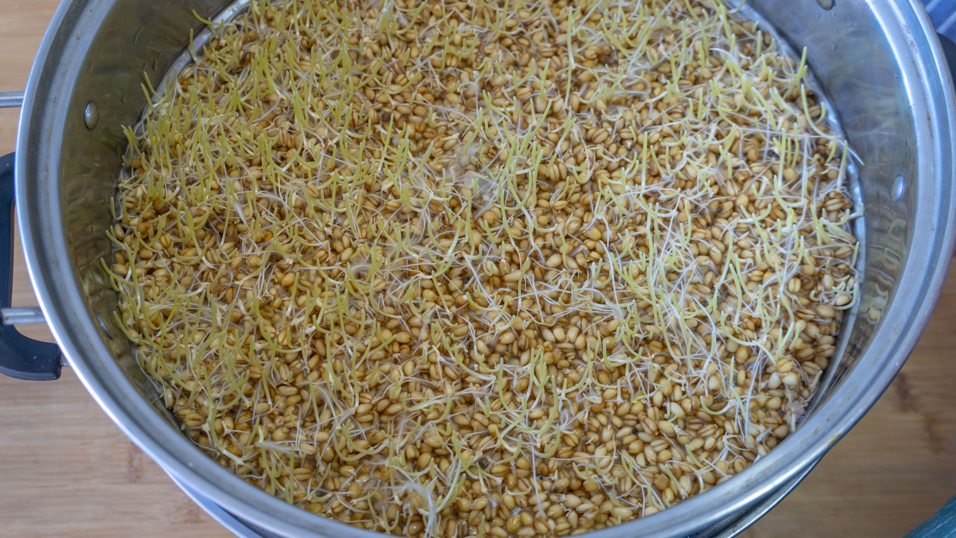 我家从来不买零食，6种自制小零食，没有烤箱也能做，越嚼越香