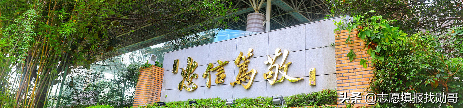 大学新校区“东南飞”成趋势，泄露了哪些秘密？