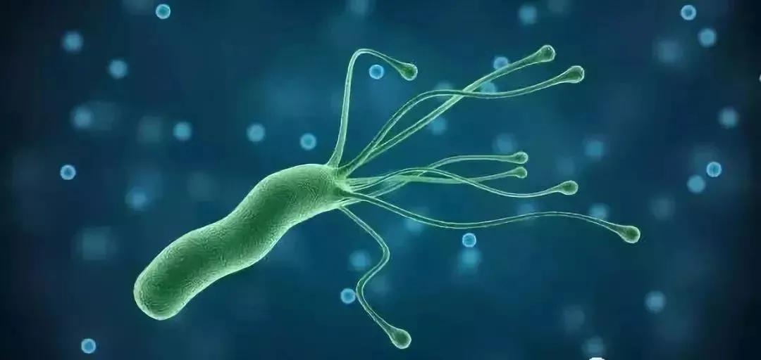 幽门螺杆菌“阳性”，是不是很严重，要不要治疗？医生告诉你