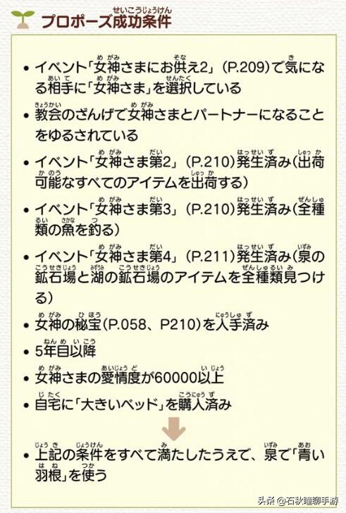 《牧场物语 重聚矿石镇》第一年冬攻略 秘宝获取方式 霍安猜苹果