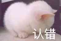 猫咪认错表情包合集