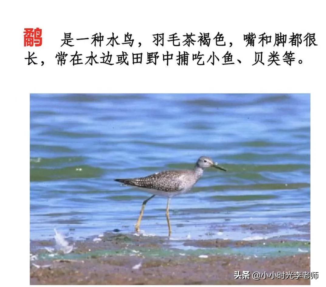 小学文言文必学积累（共26篇）第十四篇：《鹬蚌相争、渔翁得利》