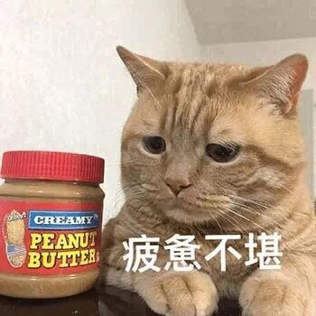 猫咪表情包合集｜我太难了，我想静静