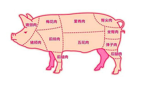 猪梅花肉是什么部位(猪肉是我们生活中常见的食材)