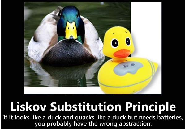 巾帼不让须眉：程序媛秘史