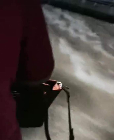 死里逃生！暴雨亲历者口述：情侣放开了彼此的手……