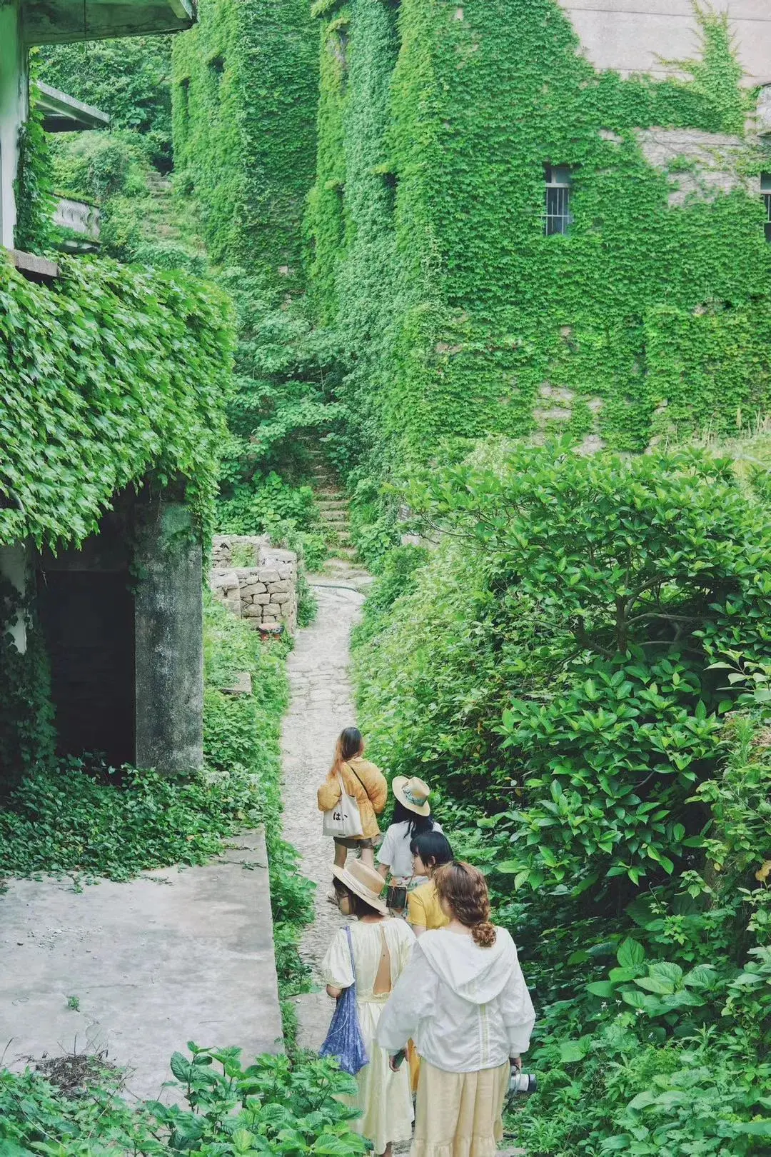枸杞岛旅游攻略(枸杞岛旅游攻略自驾) 枸杞岛旅游攻略(枸杞岛旅游攻略自驾)