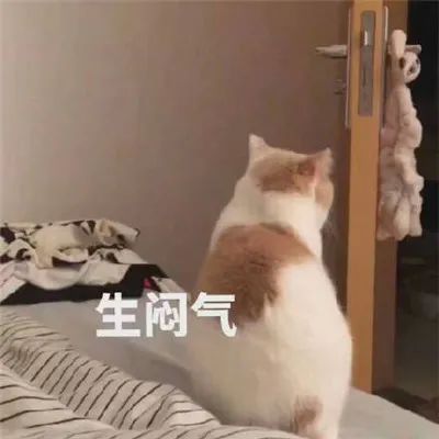 还不赶紧道歉的表情包