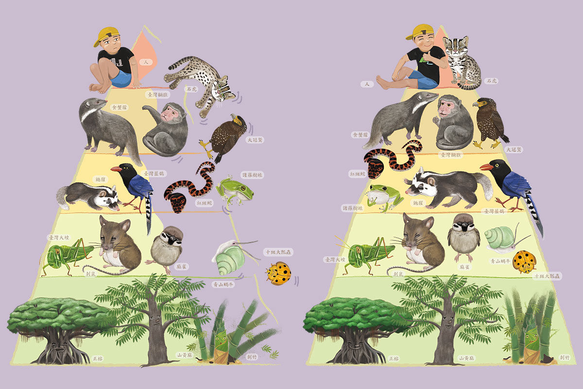 灭绝蚊子的后果