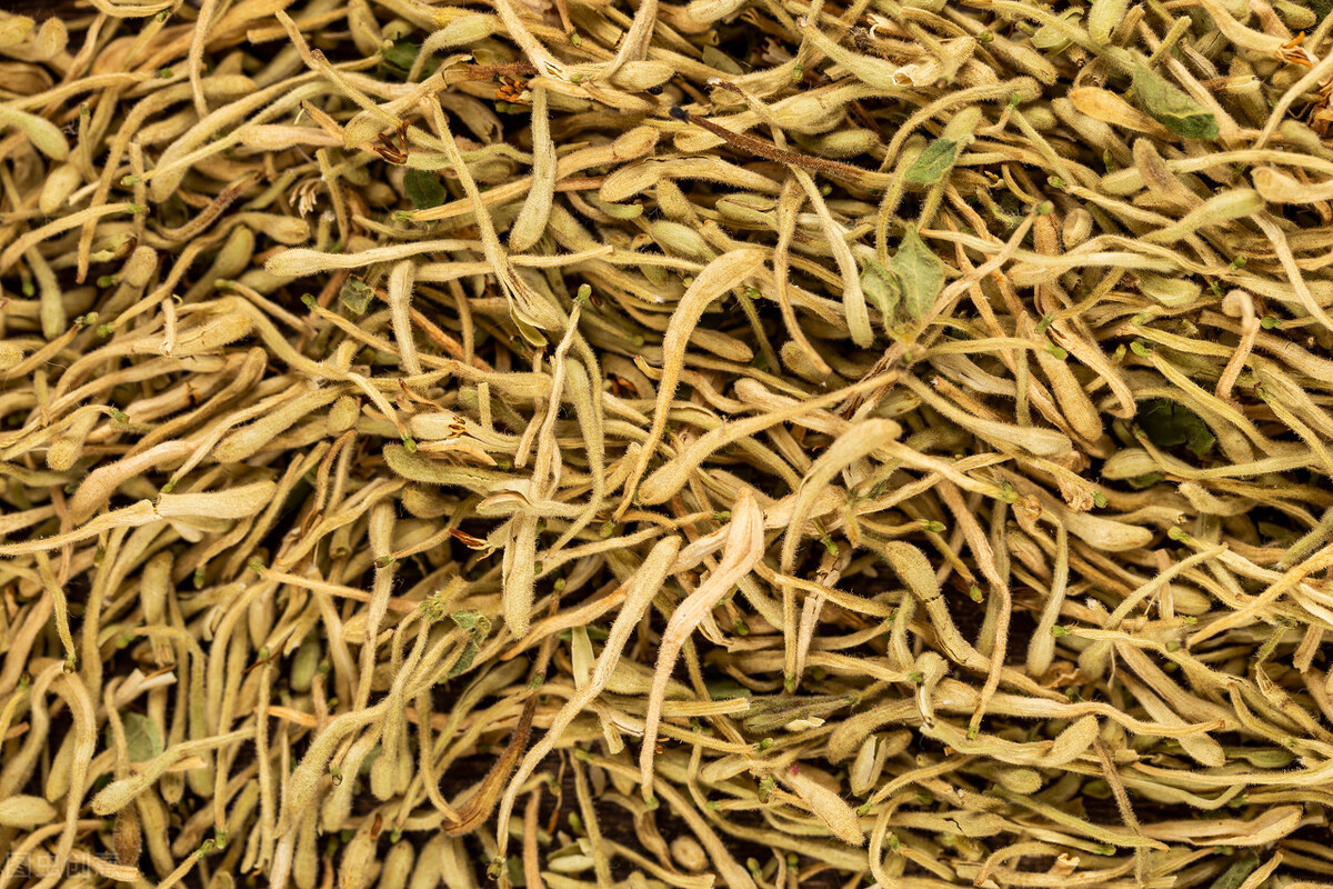 金銀花畝產(chǎn)量,金銀花畝產(chǎn)量是多少