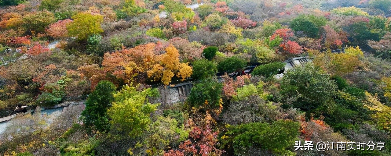 香山路线攻略（宝藏干货香山游玩的攻略大全）