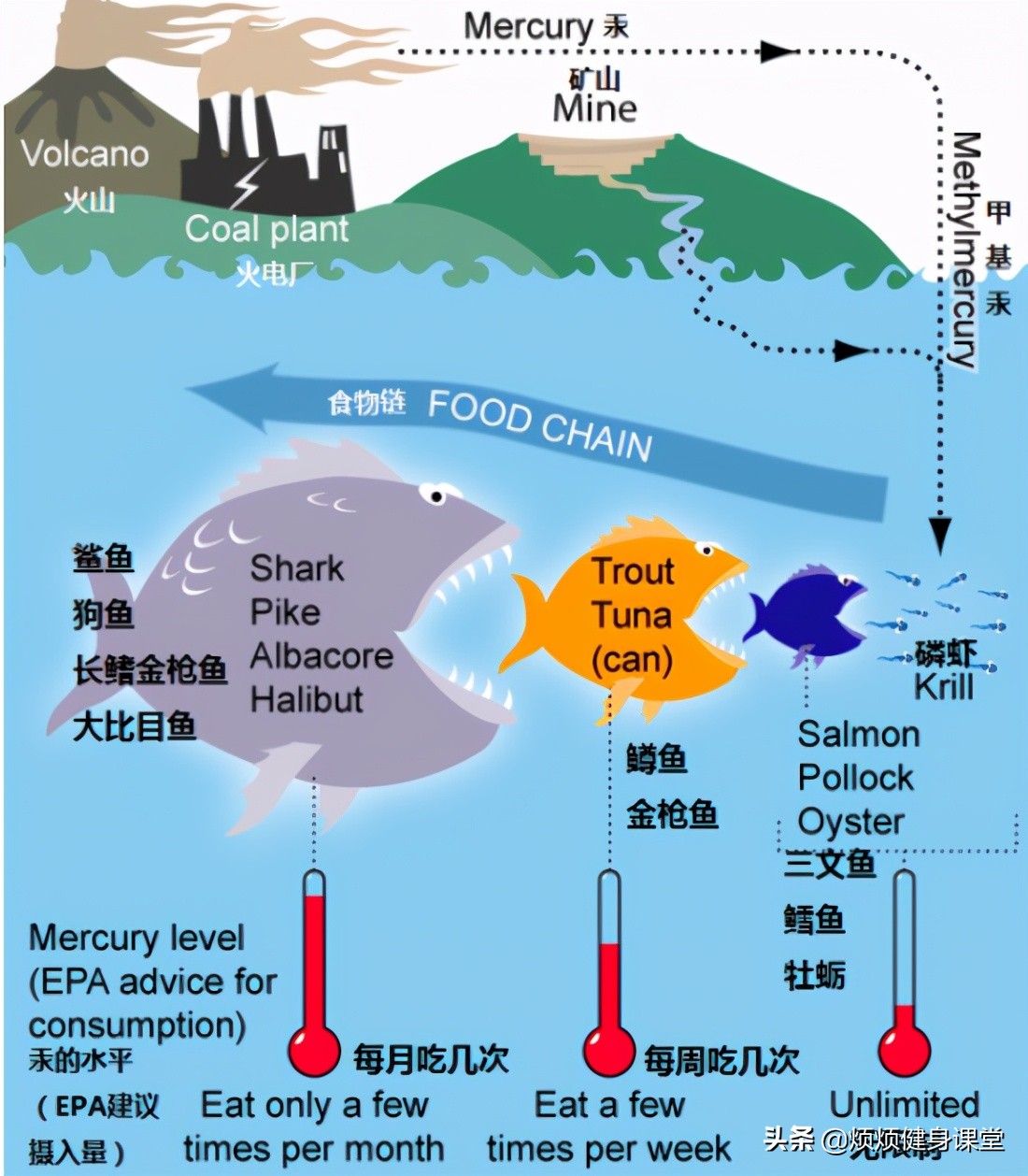 論文級魚油深度剖析，2021究極選購解讀