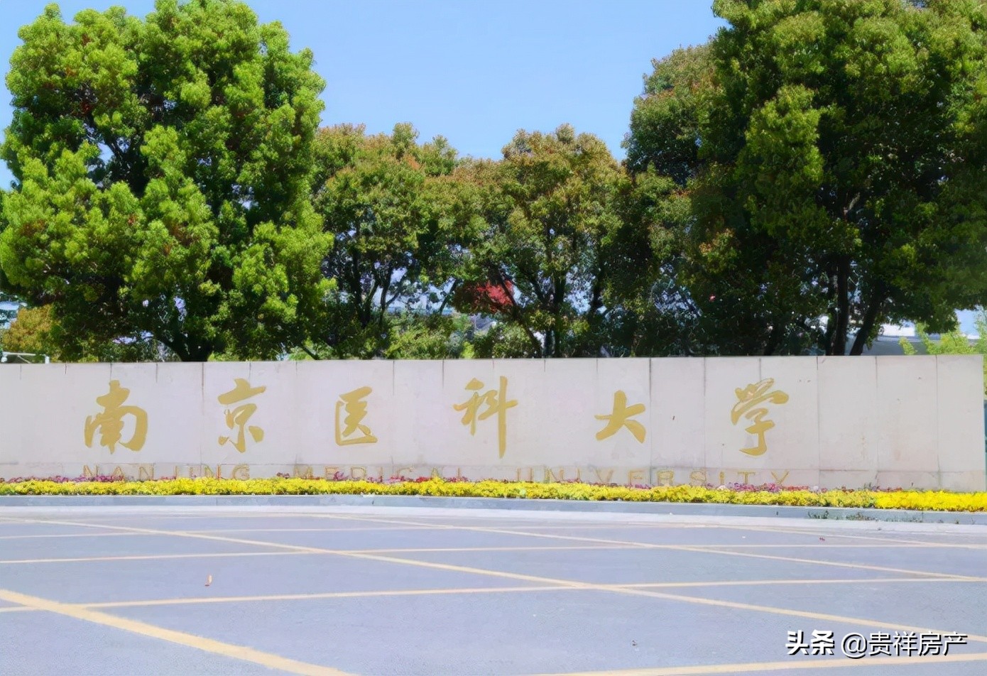 中国最好的医学类大学排名,知名医科大学top100名单