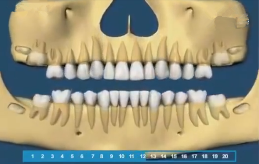 组图带你了解宝宝的牙齿生长顺序，一目了然，爸妈再也不用纠结了