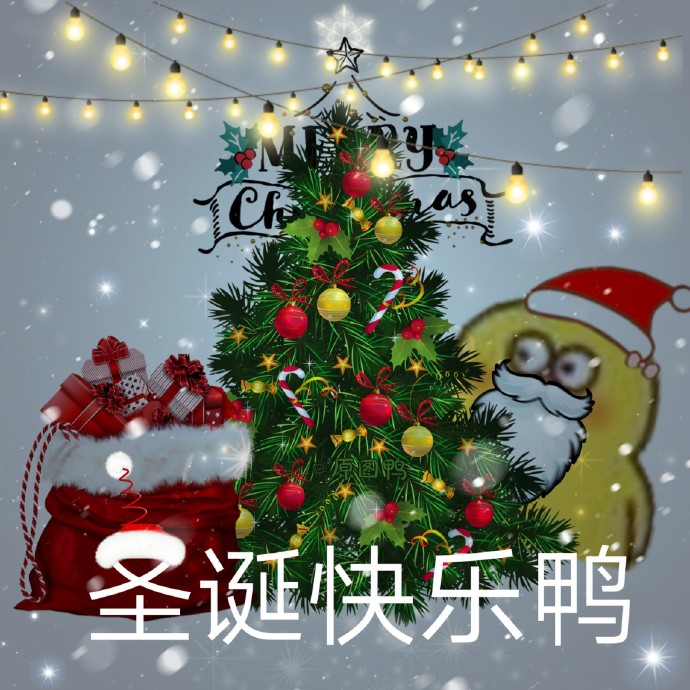 圣诞节表情包：Don’t merry Christmas，marry me