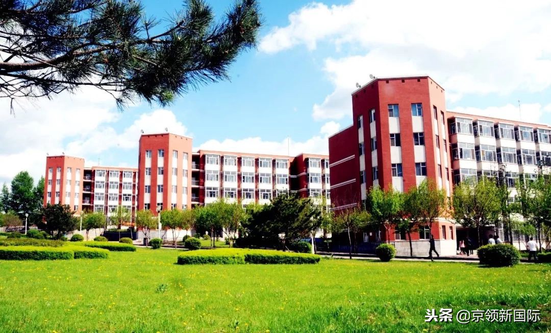 东北师范大学人文学院：开创国内福祉教育先河