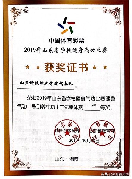 文武双全 山东科技职业学院师生斩获三项省赛1个特等奖7个一等奖