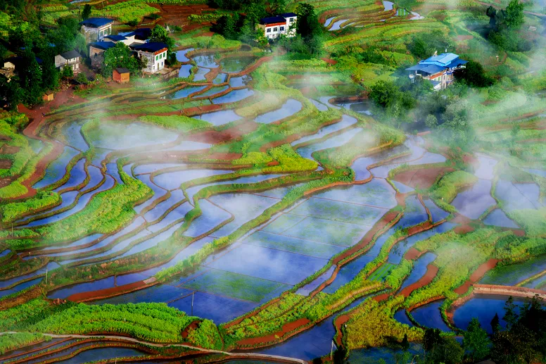 清明节去哪玩？重庆这些地方值得去踏青