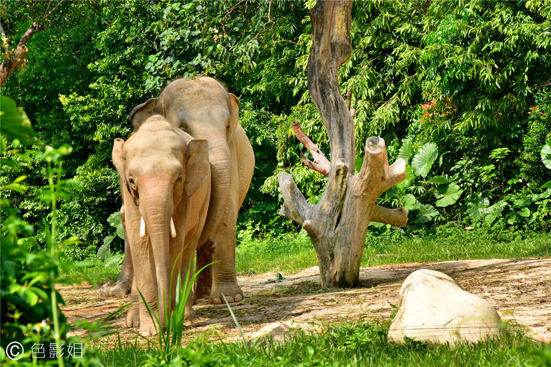 三天三夜欢乐长隆之旅（附攻略）