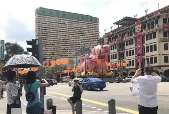 猪年限定皮肤有哪些（猪年限定皮肤）