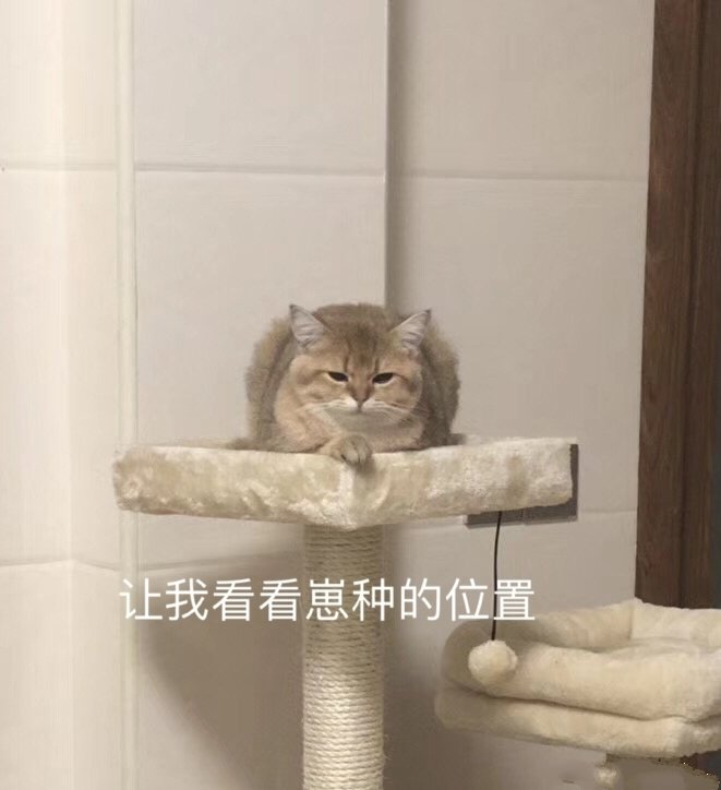 表情包：我只是一只对生活没追求的肥猫