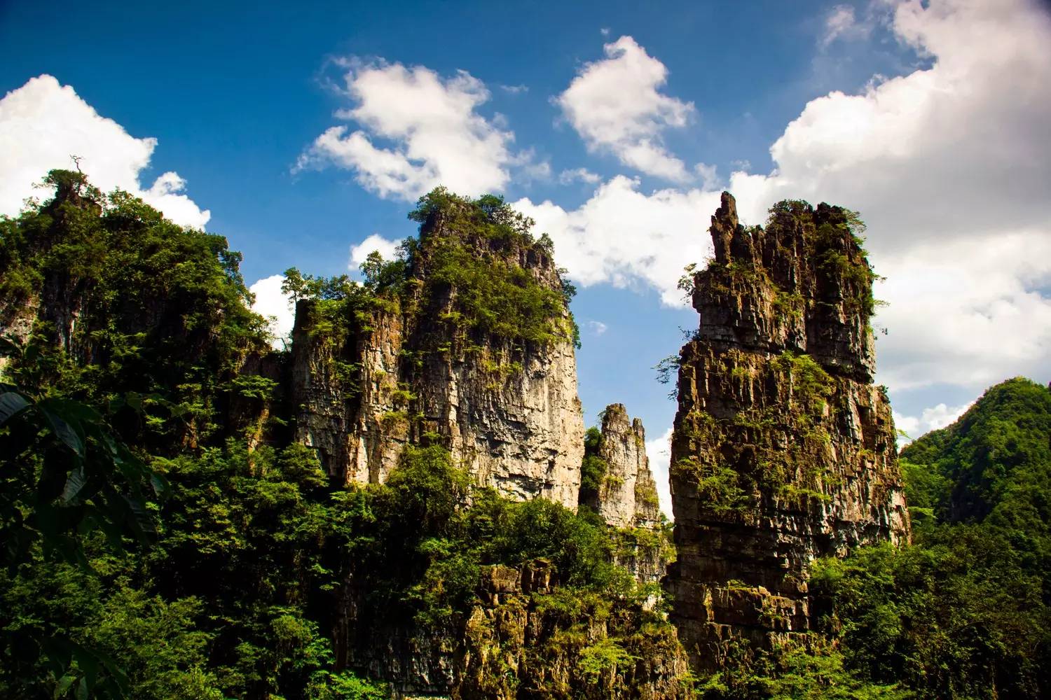 威宁县有多少人口(乌蒙山地区) - 青木春