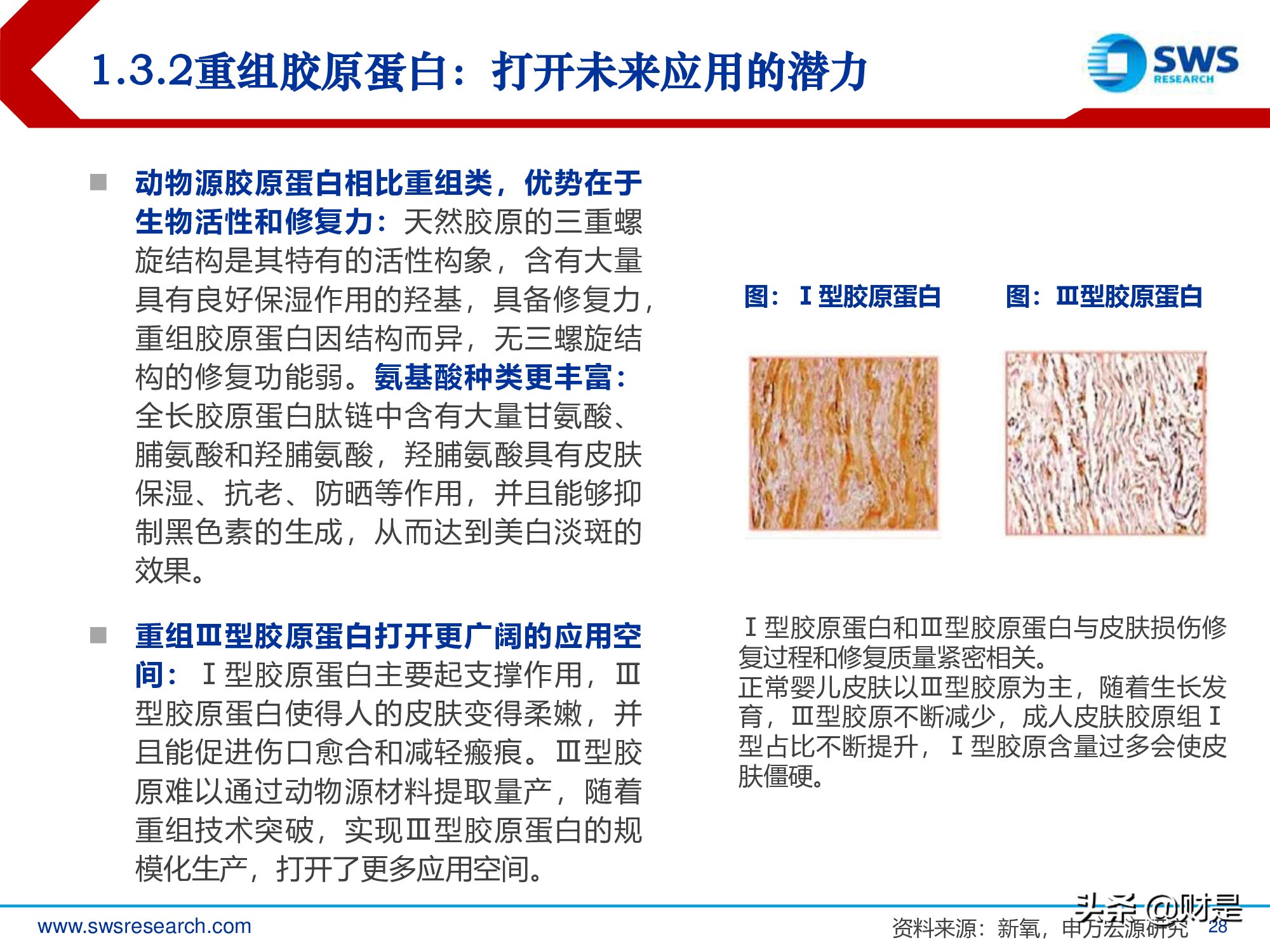 胶原蛋白行业深度研究报告：生物医药材料下一个风口