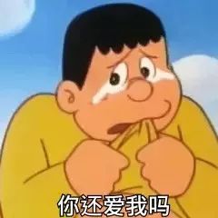 表情包：这就是外面的世界吗？