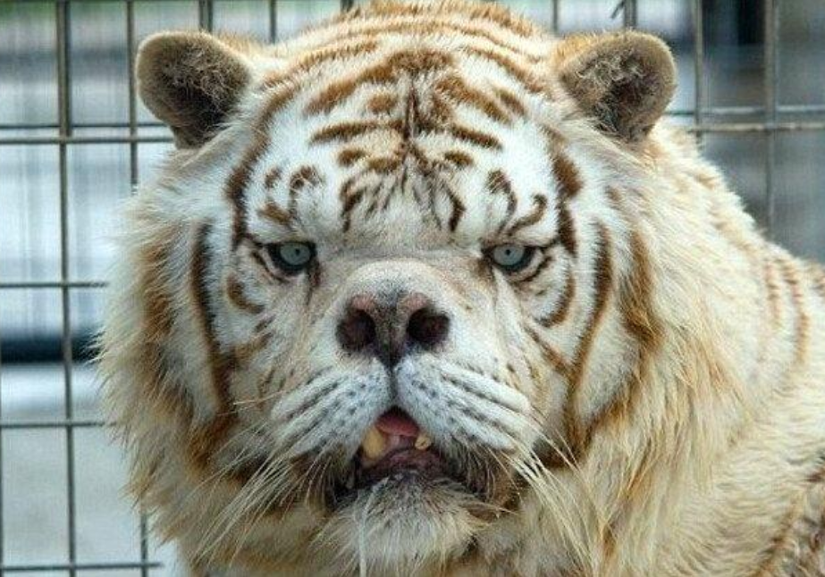 深层含义少有人知