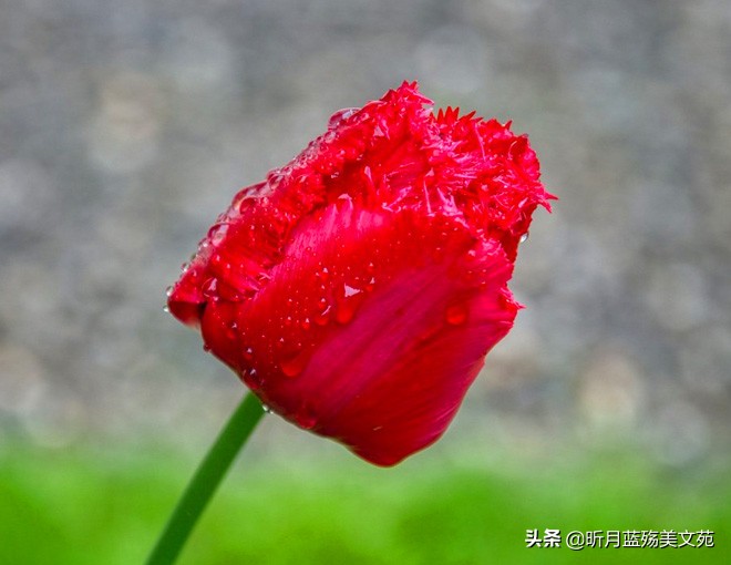 人生有你，爱如初见；岁月静好，唯你是念。