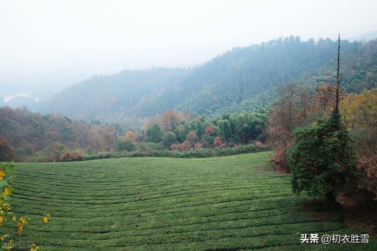 绿水青山古诗六首赏读：绿水丰涟漪，青山多锦绣