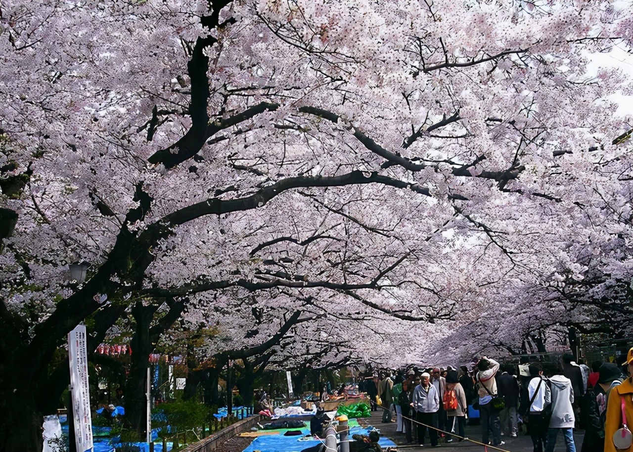 喜报！湖北这所高校引院士加盟，进步神速，有望冲击双一流大学