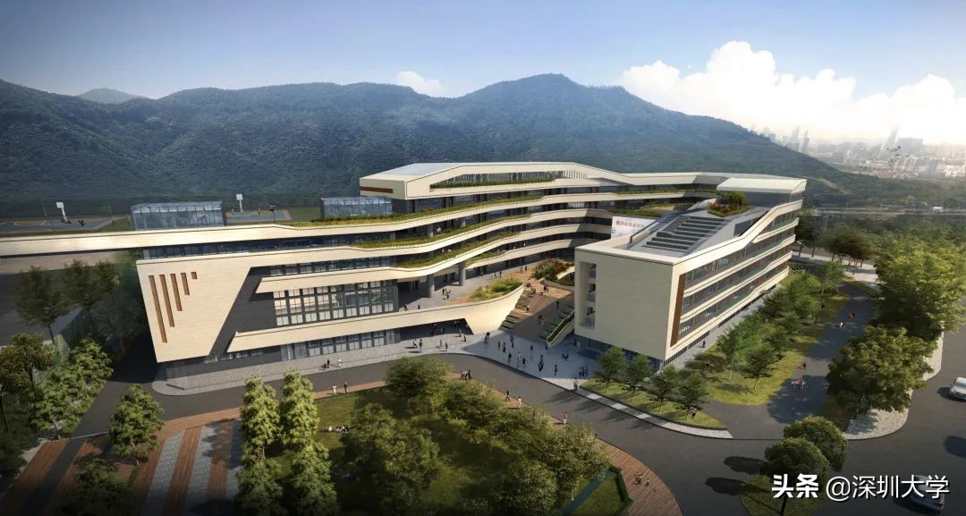 重磅！深圳大学附属教育集团外国语中学来啦