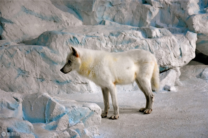三天三夜欢乐长隆之旅（附攻略）