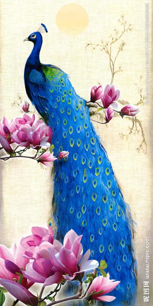 孔雀东南飞！高贵、冷艳的白孔雀