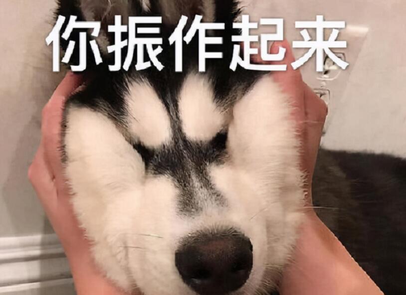 00后的“任性辞职信”，连理由都懒得编了，这是在炒老板吧