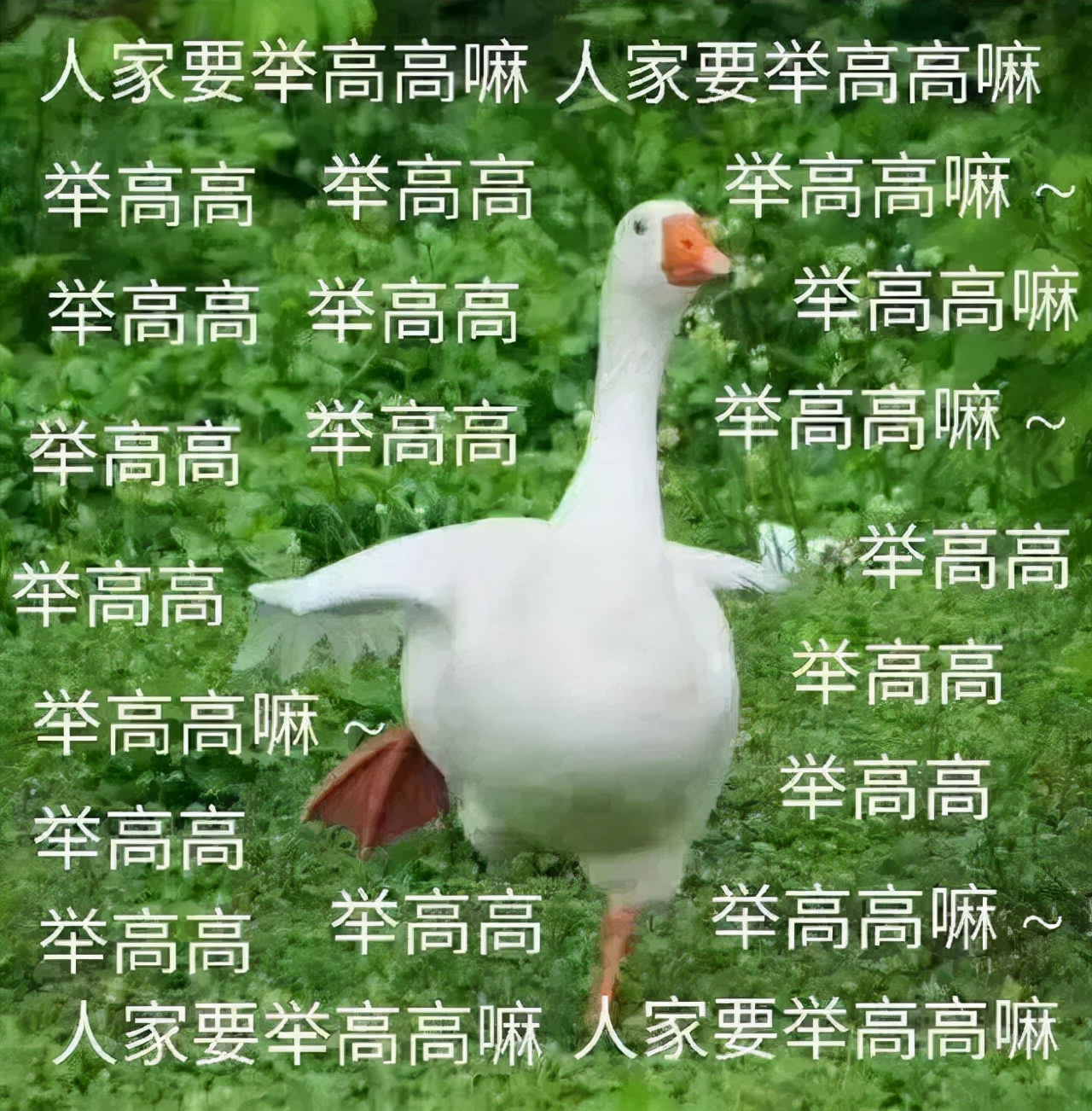 熬夜救星—菲洛嘉十全大补面膜