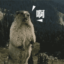 2019-2020年重庆中小学校历出炉！今年寒假的放假时间是......